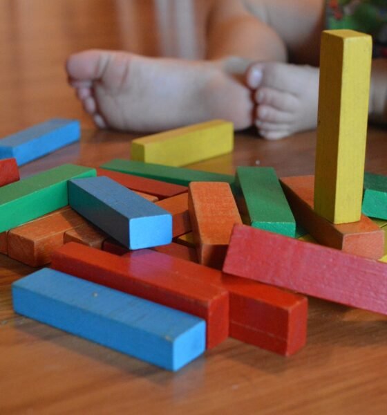 Montessori Toys